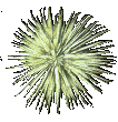 sticker_28302_12838