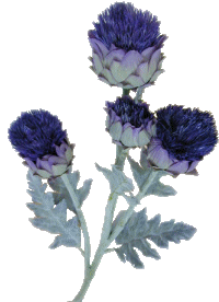 sticker_917974_8445342