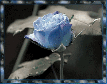 sticker_21033724_39170272