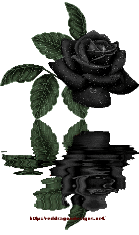 sticker_9694378_33515073