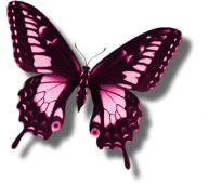sticker_30189666_45893099