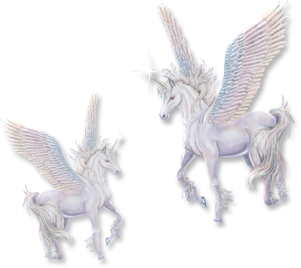 sticker_22639614_38911880