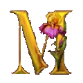 sticker_15376153_47603532