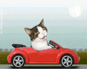 sticker_23019370_47543121