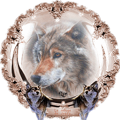 sticker_13860887_43950918