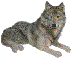 sticker_12417504_21867939