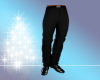 Elegant Pants