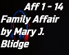 Family Affair by Mary J.