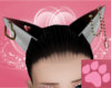 ~AM~ Princess Neko Ears