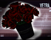 Roses | V