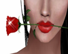 RED ROSE - MOUTH
