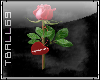 Valentine Rose(WR)