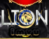 Lion Gold Vest