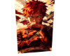 C, Naruto 13