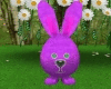 Bouncy Violet Bunny