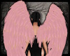 +Dusted Wings - blush