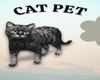 cat gris pet