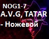 A.V.G TATAR-Nozhevoy