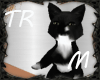 [TR]Cute Kitten *Blk (M)