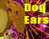 Genie Dog Ears