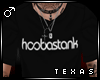 TX! Hoobastank T Shirt