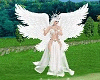 Angel Flying Animated