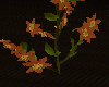 Flower vine - Orange