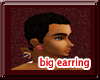 [bswf] big trini earring