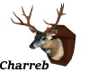 !Mounted Deer Head
