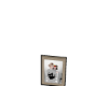 M_Pic3