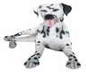 Dalmatian Dog Animated