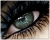 Jadev Eyes
