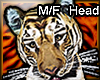Tiger Head M/F