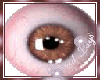 [DL]Brown Eye 20