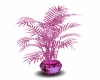 pink potted plant