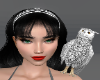Owl 🦉