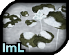 lmL Winter Water Lilies