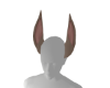 Hazel ears