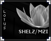 [LyL]Shelz Lotus Flowers