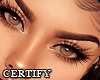 Certify Brows Highlights