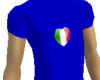 italy t-shirt male