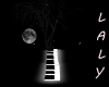Piano Black Room