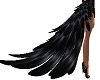 Black Tail Feathers