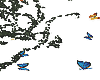 泰 butterflies anim