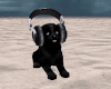 DJ Dog Pet