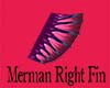 Merman Right Fin
