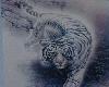 prowling tigg