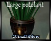 (OD) Large potplant