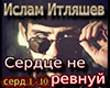 Serdce ne revnujj