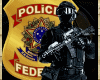 Quadro Policia Federal 3